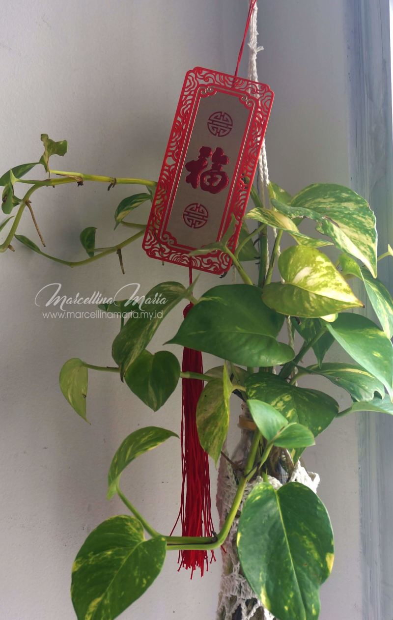 Easy Chinese New Year Decoration Tutorials & Activities Ideas For Teenagers