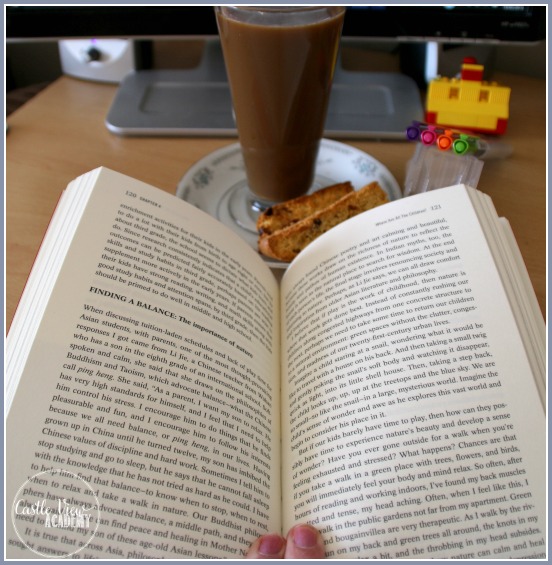 Finding a balance The importance of nature in raising children is a great section in Beyond The Tiger Mom