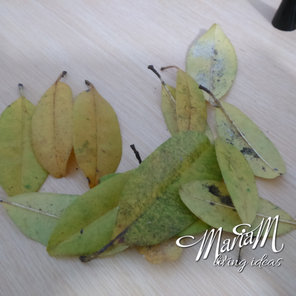 pencil holder leaves diy 5
